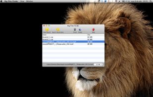 Big Files Finder screenshot 1