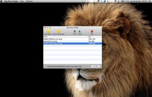 Big Files Finder screenshot 2