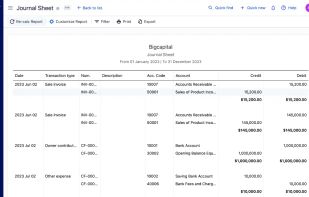 Bigcapital screenshot 2