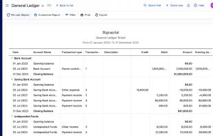 Bigcapital screenshot 3