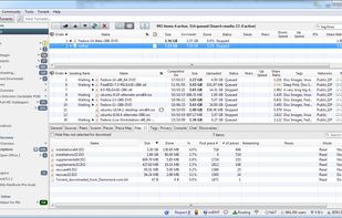 BiglyBT screenshot 1
