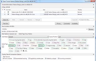 BiglyBT screenshot 1