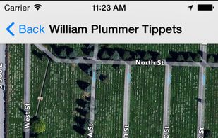 BillionGraves screenshot 2