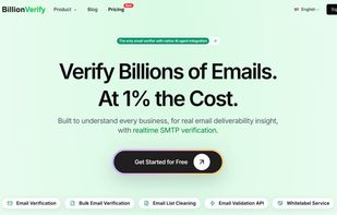 BillionVerify home page