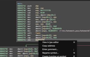 Binary patching via a right-click menu.