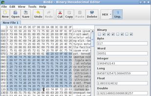 BinEd screenshot 2