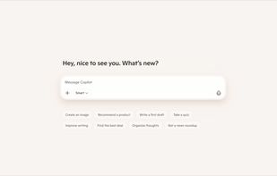 Microsoft Copilot screenshot 1