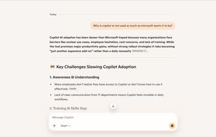 Microsoft Copilot screenshot 1