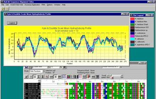 BioEdit screenshot 2