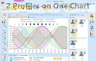 Biorhythms Calculator screenshot 1