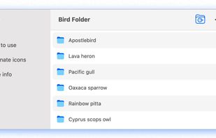 Bird Folder screenshot 1