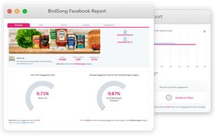BirdSong Analytics screenshot 2
