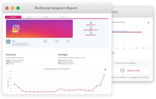 BirdSong Analytics screenshot 1