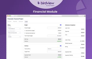 Birdview Professional Services screenshot 2