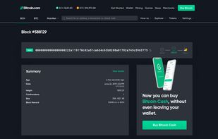 Bitcoin.com Explorer screenshot 3