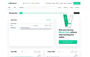 Bitcoin.com Explorer screenshot 2