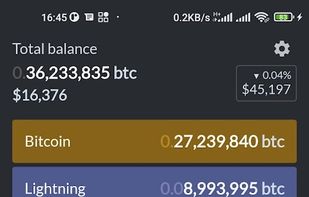 Bitcoin Simple Wallet screenshot 1