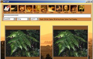 BitCrypt screenshot 1