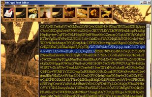 BitCrypt screenshot 1