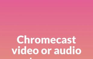 BitLord screenshot 3