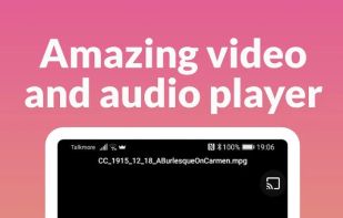 BitLord screenshot 2