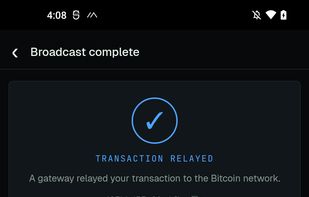 BitMesh screenshot 2