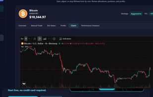 Imbedded Tradinview Charts
