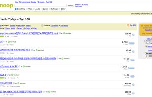 BitSnoop screenshot 2