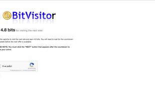 BitVisitor