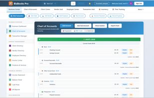 BizBooks Pro screenshot 1
