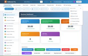 BizBooks Pro screenshot 1