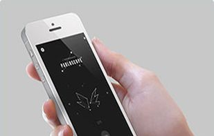 Bizness Apps screenshot 2