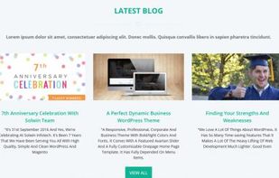 Biznetic WordPress Theme screenshot 2