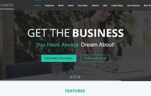Biznetic WordPress Theme screenshot 1