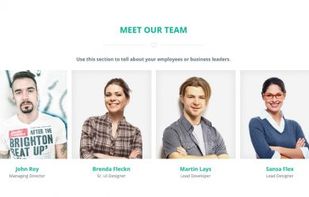 Biznetic WordPress Theme screenshot 3