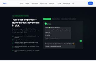 Bizzly WhatsApp AI assistant marketing material.