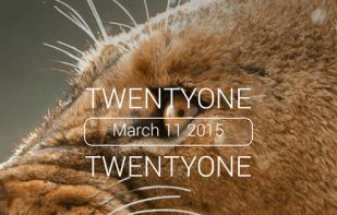 Black Beauty Icon Pack screenshot 2