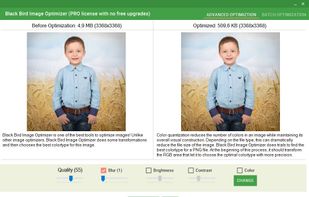 Black Bird Image Optimizer does trials to find the best colortype for a PNG file.