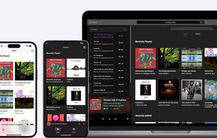 Black Candy screenshot 1