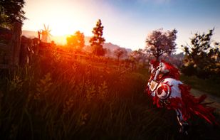 Black Desert Online screenshot 2
