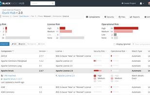 Black Duck Software screenshot 1