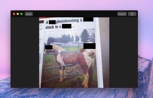 Black Out screenshot 1