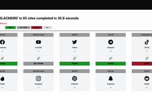 Blackbird OSINT screenshot 1