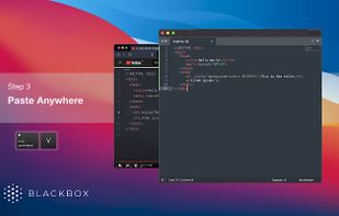 Blackbox - Select. Copy. Paste & Search screenshot 2
