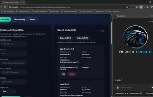 Privacy-Respecting Local Large Model Setup