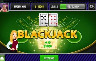Blackjack King screenshot 1
