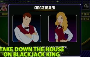 Blackjack King screenshot 2