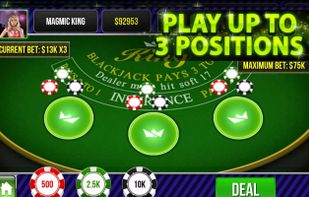 Blackjack King screenshot 3