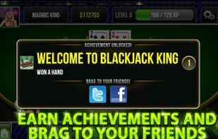 Blackjack King screenshot 1