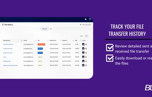 BLAZE Transfer screenshot 3